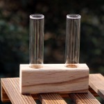 Simple Nordic home creative desk hydroponic plants wooden floral test tube glass vase