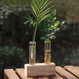 Simple Nordic home creative desk hydroponic plants wooden floral test tube glass vase