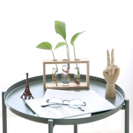 Simple creative wooden crafts plant green radish vase glass test tube hydroponic home desk decoration