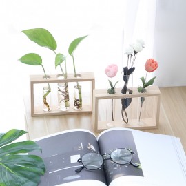 Simple creative wooden crafts plant green radish vase glass test tube hydroponic home desk decoration